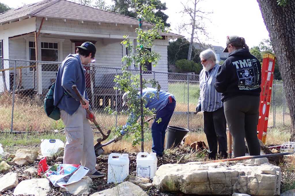 Building the watering basin.